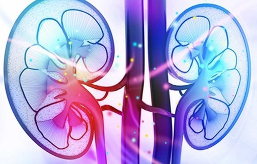 Changing the nephrology game with novel biomarkers
