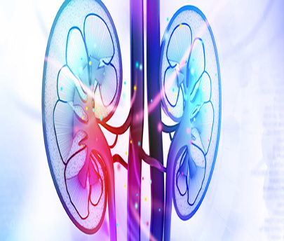 Changing the Nephrology Game with Novel Biomarkers